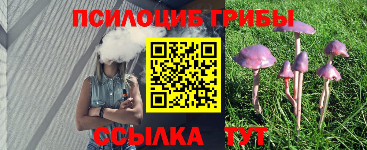 Галлюциногенные грибы Cubensis Котовск